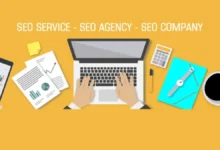 Egochi Miami SEO Agency