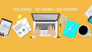 Egochi Miami SEO Agency