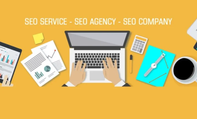 Egochi Miami SEO Agency