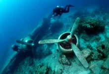 Amelia Earhart Plane Found