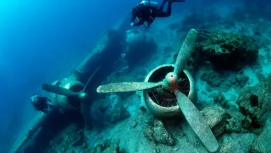 Amelia Earhart Plane Found